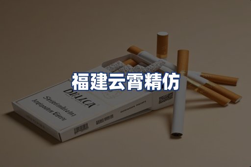 福建云霄精仿